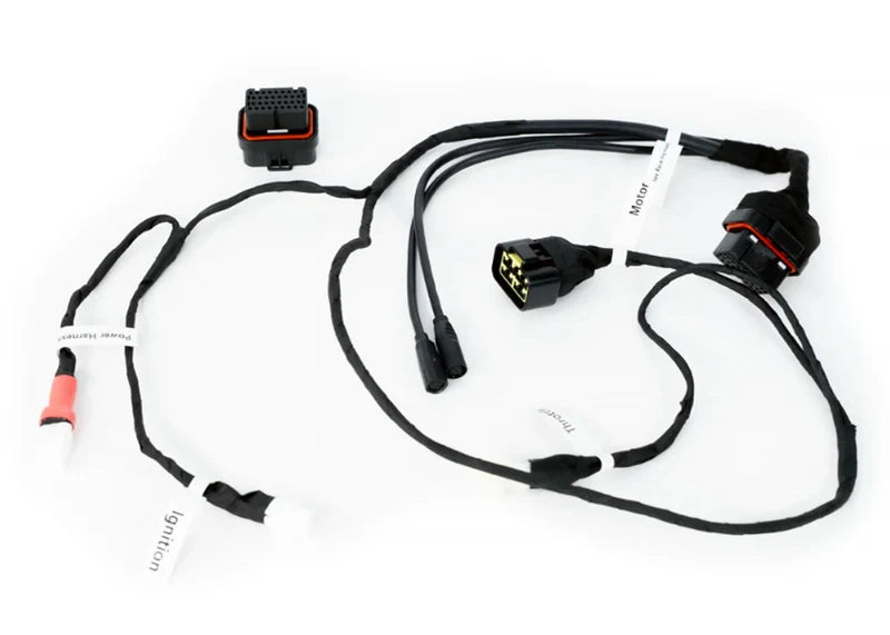 EBMX X-9000 V3 Complete Light Bee Race Harness
